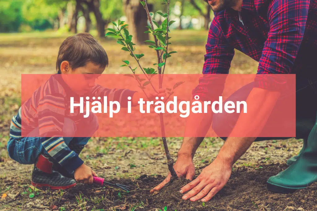 Få leads med Yabado - 2023-04-23T120249.066 Trädgårdstjänster