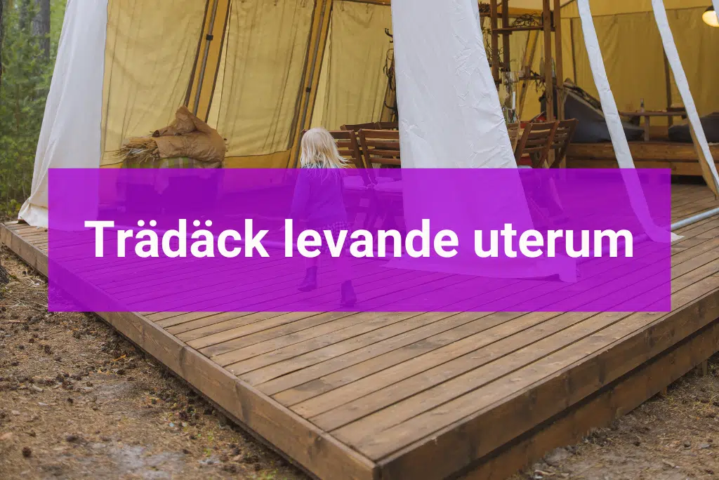 Få leads med Yabado - 2023-04-28T010343.948 Bygga trädäck kostnader