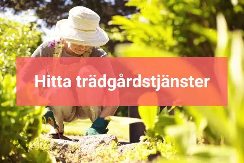 Hitta trädgårdstjänster Hitta trädgårdstjänster