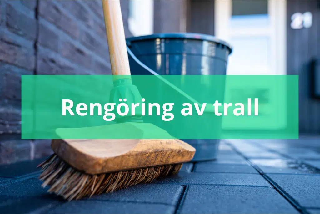 Få leads med Yabado - 2023-05-05T004439.664 Tvätta altan med såpa och ättika