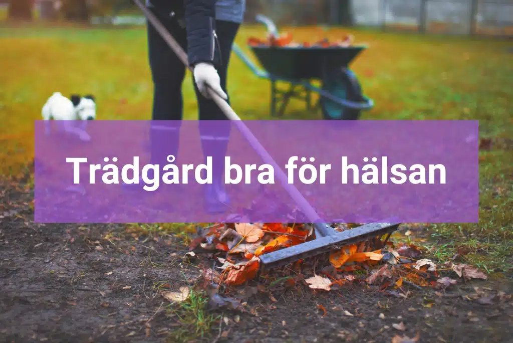 Tradgard-bra-for-halsan Tradgard bra for halsan