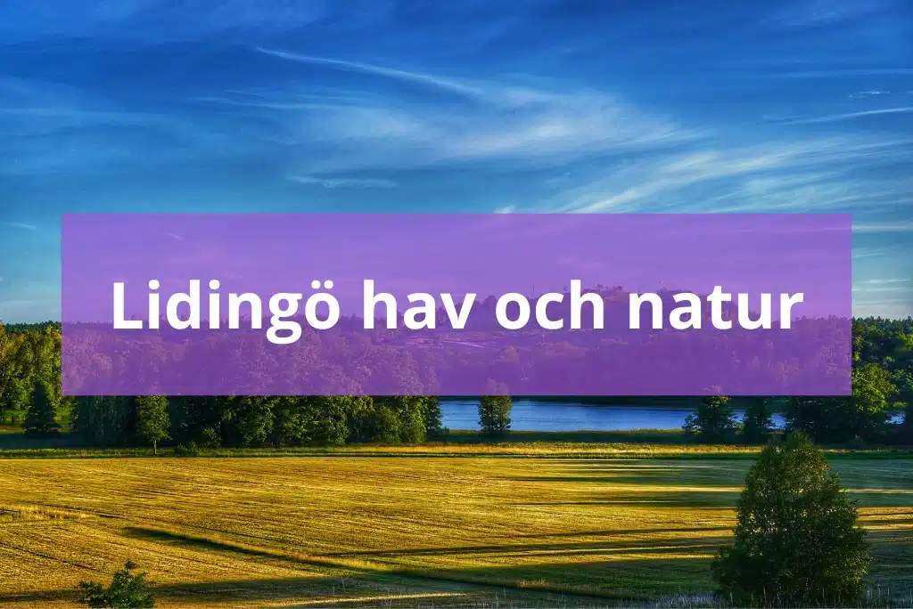Köpa Bostad Lidingö6 Köpa Bostad Lidingö