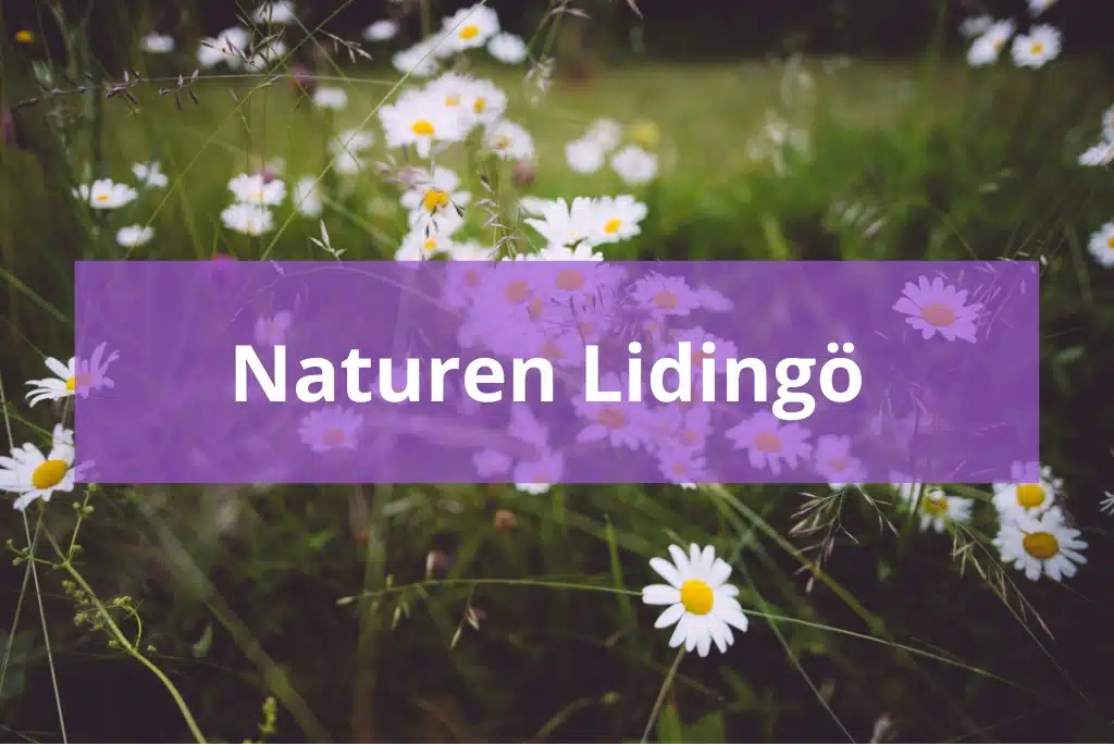 Lugna Lidingö Hitta hus till salu på Lidingö