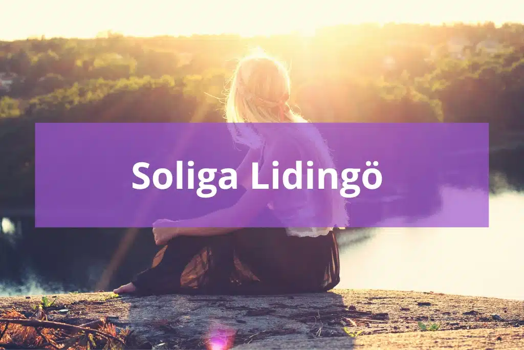 Soliga Lidingö Hitta hus till salu på Lidingö