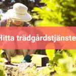 Hitta trädgårdstjänster