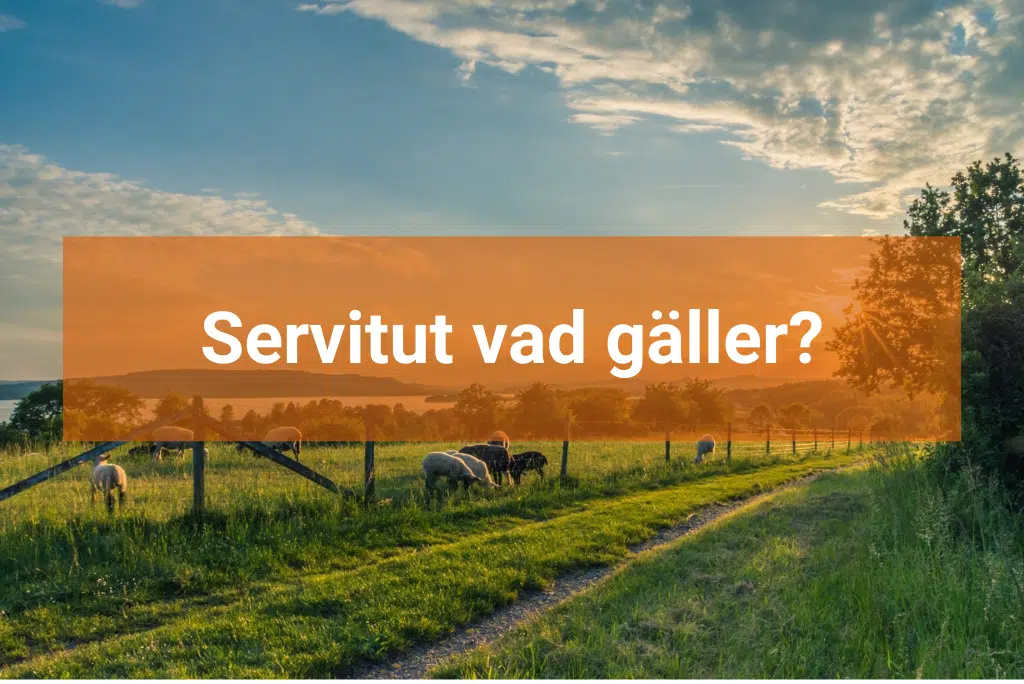 Servitut