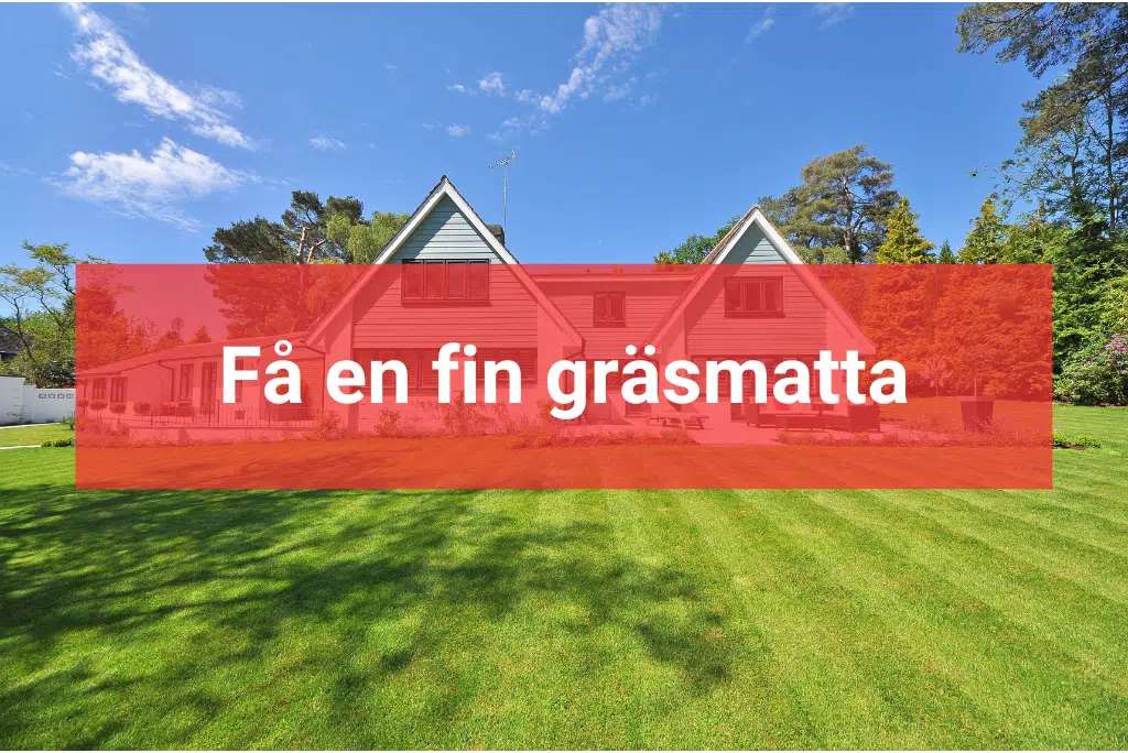 Anlägga gräsmatta