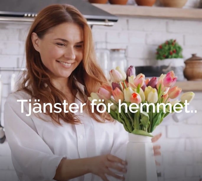 Tjänster i hememt